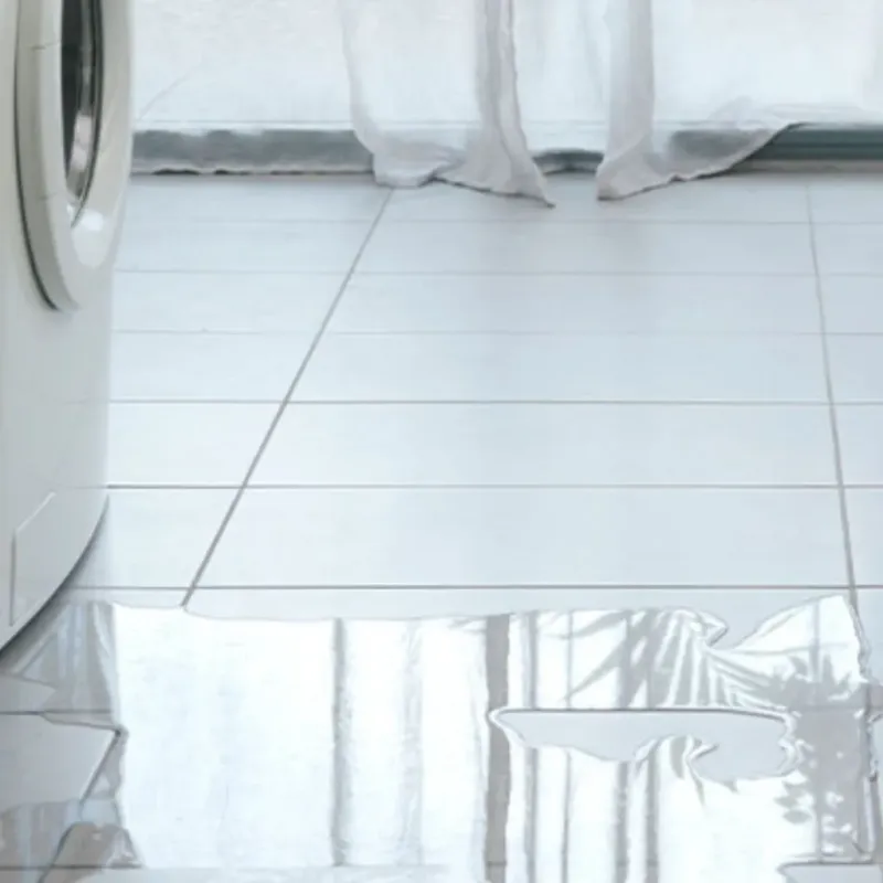 Appliance Leak Cleanup in Geneseo, IL